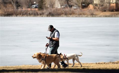 Opinion: Denver is one of the U.S.’ most dog-friendly cities. So why don’t people scoop their poop?